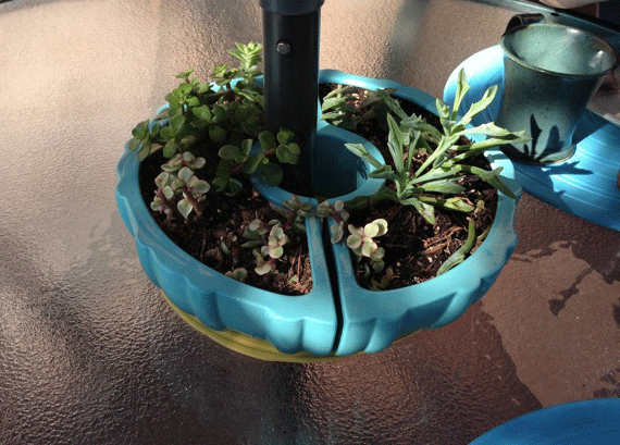 PlanterTurquoise.gif